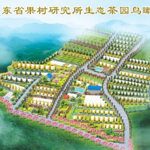 山東省果樹研究所生態茶園鳥瞰圖